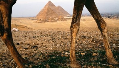 اكتشاف غرفة سريه في هرم خوفو باستخدام الأشعة الكونية