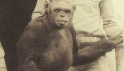 من هم اصحاب السبت؟ وكيف حولهم الله الى قردة؟